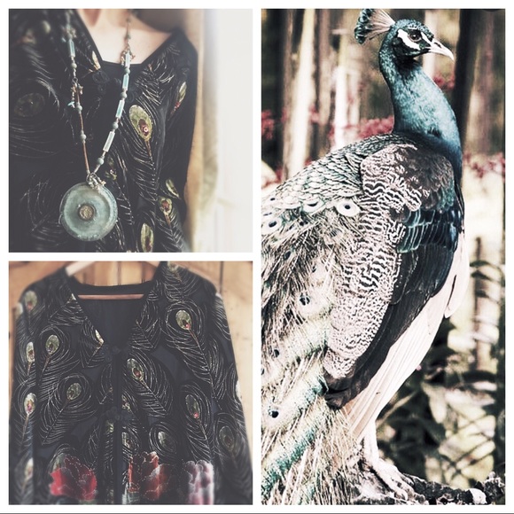 Jacket  Silk & Velvet Opera Jacket Victorian HP🌵 - Picture 6 of 14